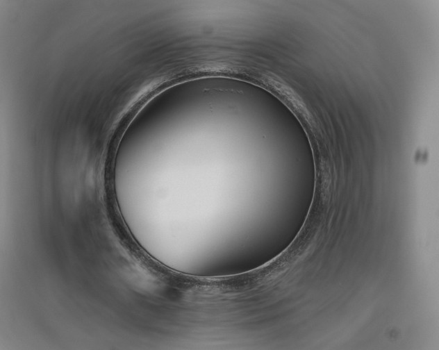 X0000094790482200711161437