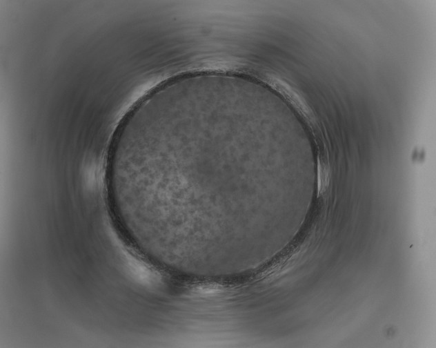 X0000094790483200711161437