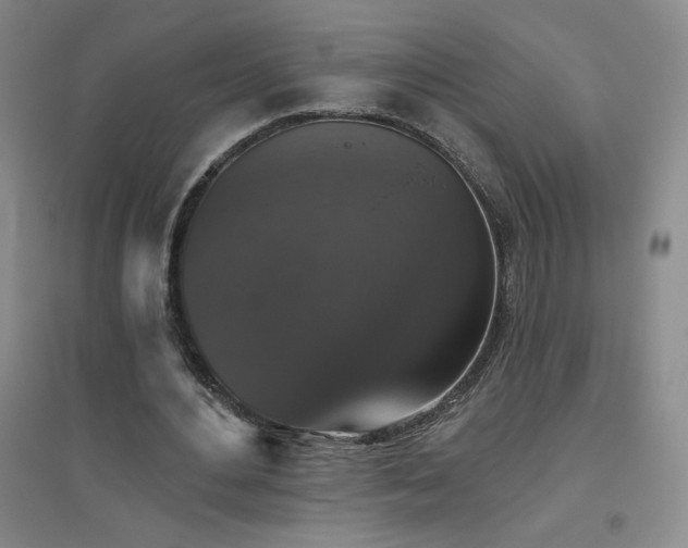 X0000094790484200711161437