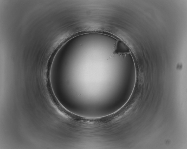X0000094790485200711161437