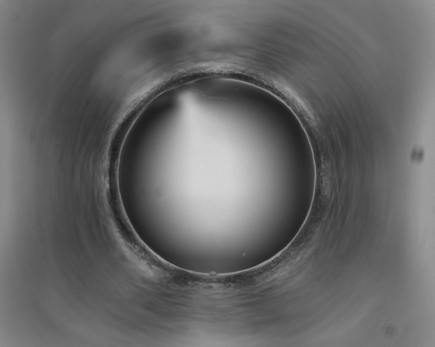 X0000094790486200711161437
