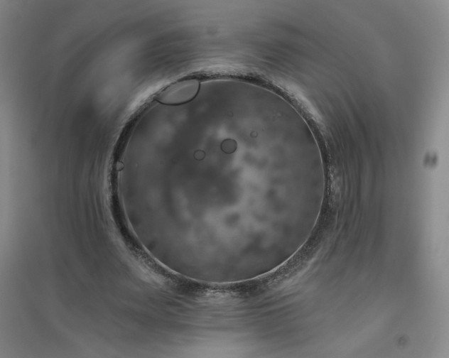 X0000094790487200711161437