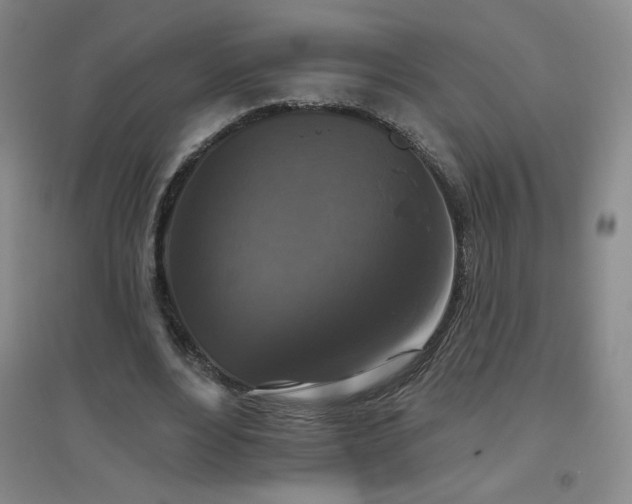X0000094790488200711161437