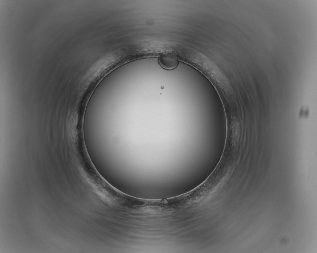 X0000094790490200711161437