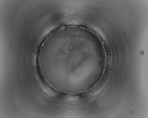 X0000094790491200711161437