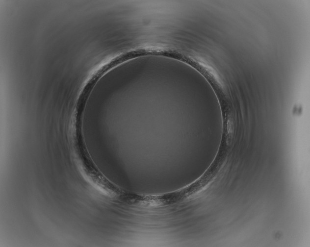 X0000094790492200711161437