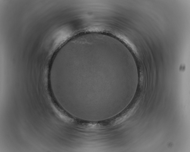X0000094790493200711161437