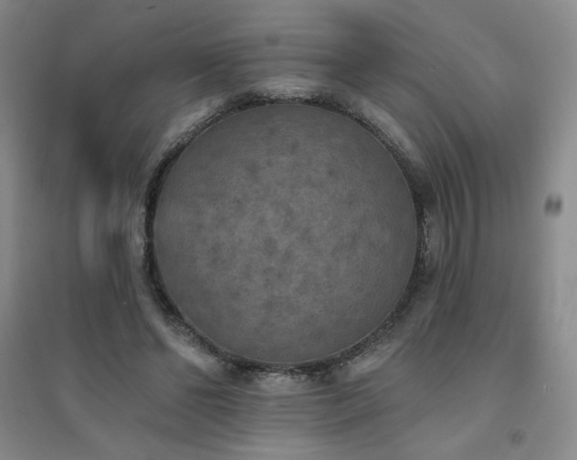 X0000094790494200711161437