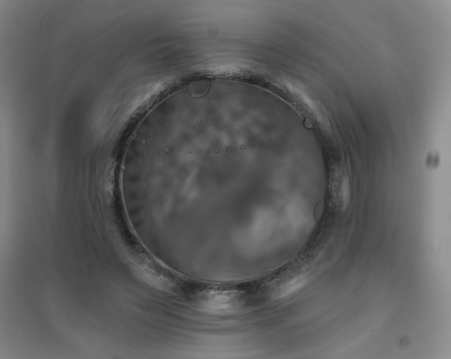 X0000094790495200711161437