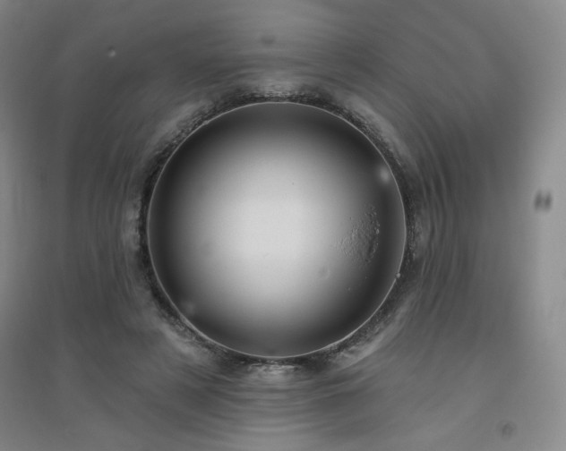 X0000094790497200711161437
