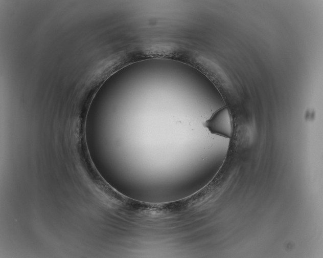 X0000094790498200711161437
