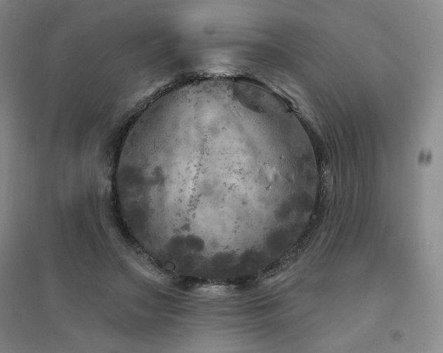 X0000094790499200711161437