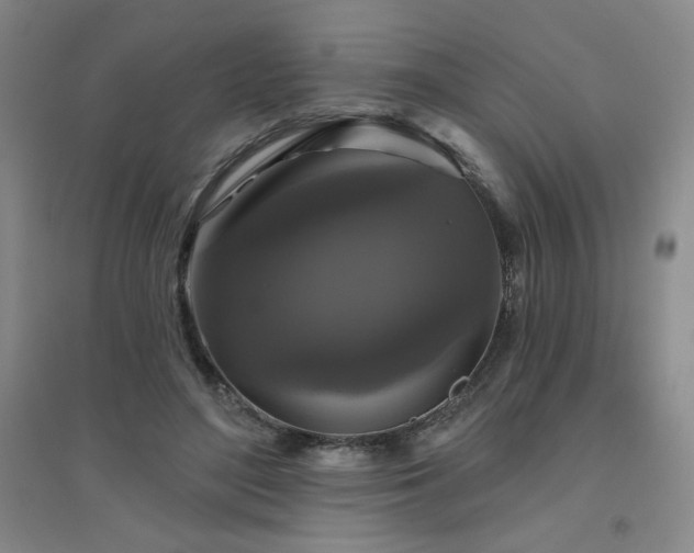X0000094790500200711161437