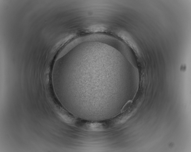 X0000094790501200711161437