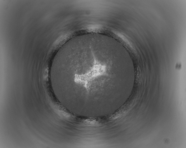 X0000094790502200711161437