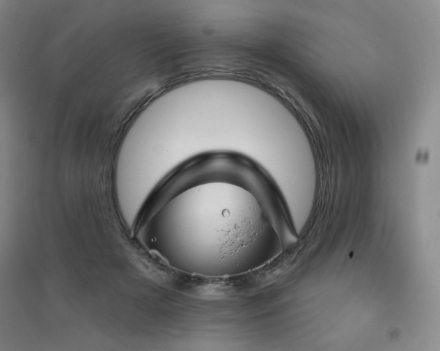 X0000094790505200711161437