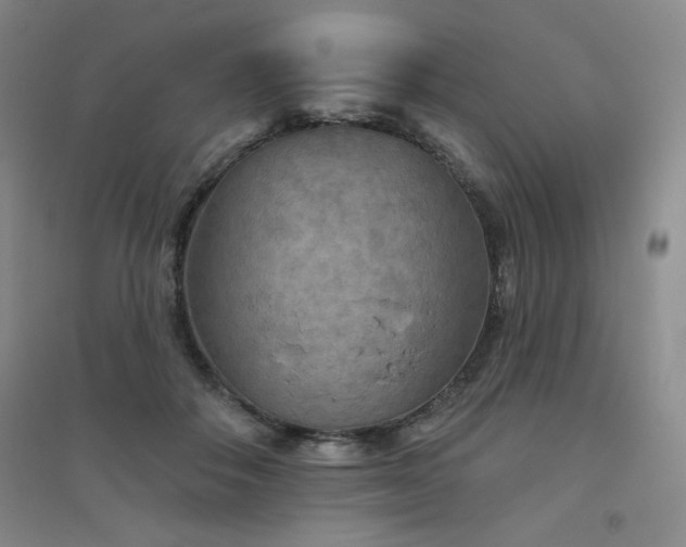 X0000094790506200711161437
