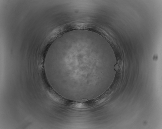 X0000094790507200711161437