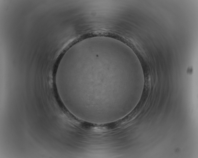 X0000094790508200711161437