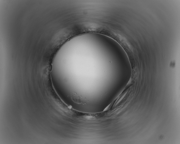 X0000094790509200711161437