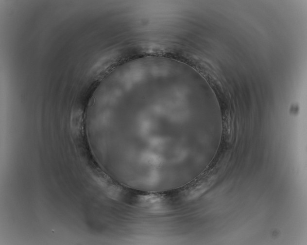 X0000094790511200711161437