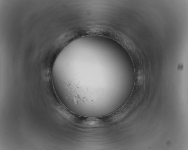 X0000094790514200711161437