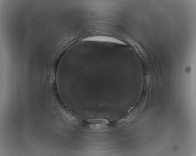 X0000094790517200711161437