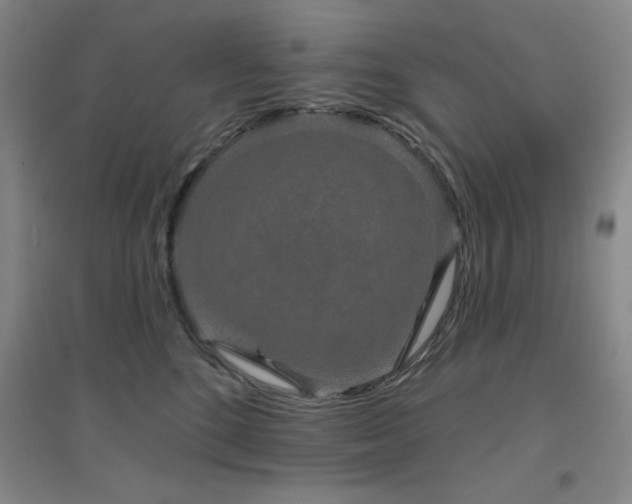 X0000094790520200711161436