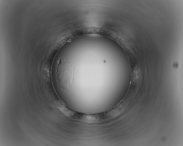 X0000094790522200711161436