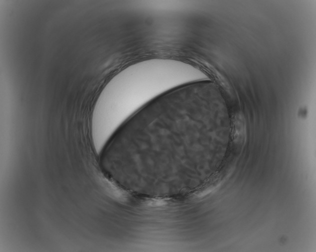 X0000094790523200711161436