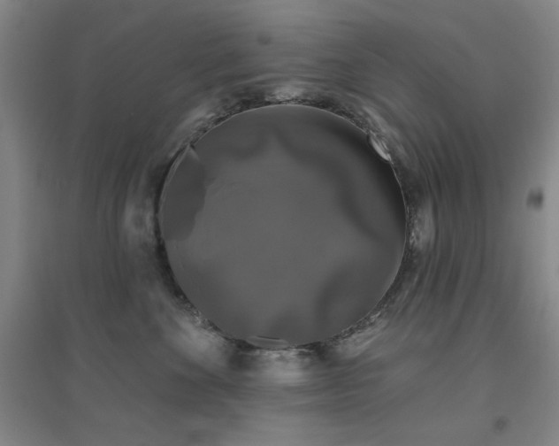 X0000094790524200711161436