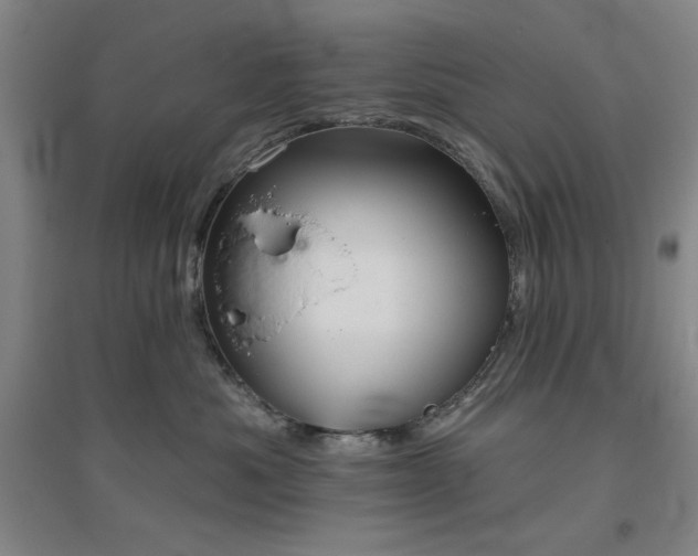 X0000094790525200711161436
