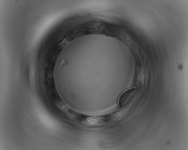 X0000094790526200711161436