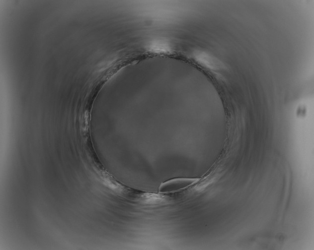 X0000094790528200711161436
