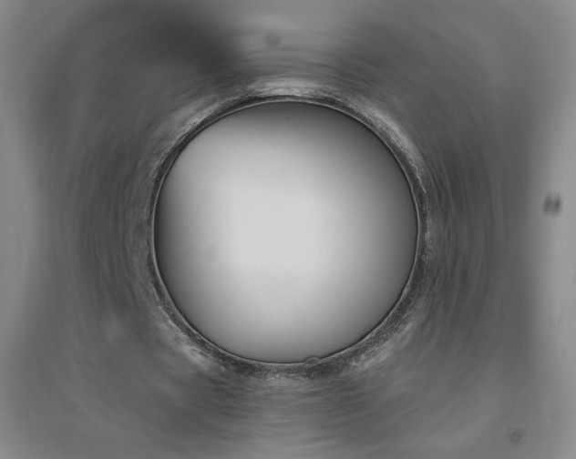 X0000094790529200711161436