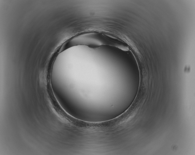 X0000094790530200711161436