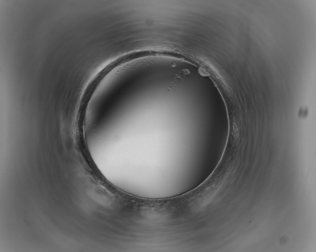 X0000094790532200711161436