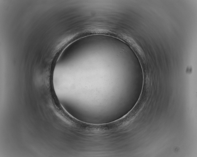 X0000094790533200711161436