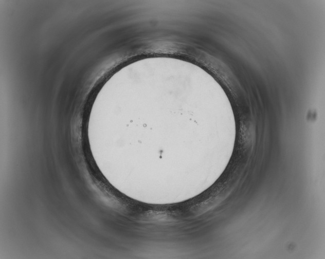 X0000094790534200711161436