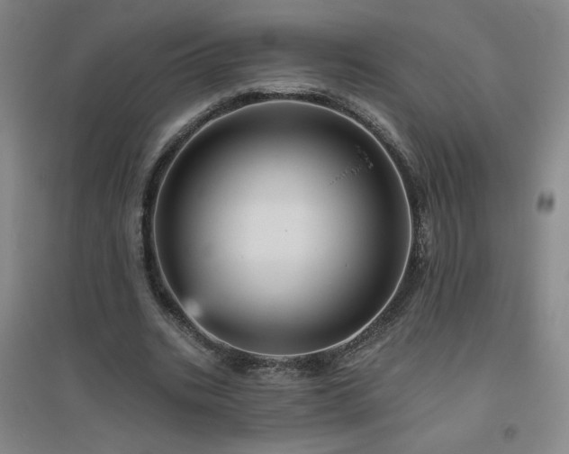 X0000094790535200711161436