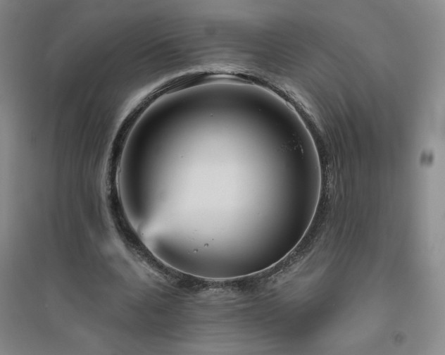 X0000094790536200711161436