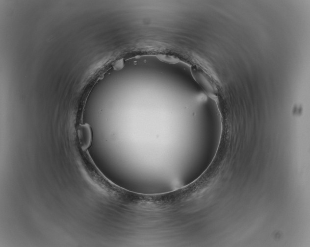 X0000094790538200711161436