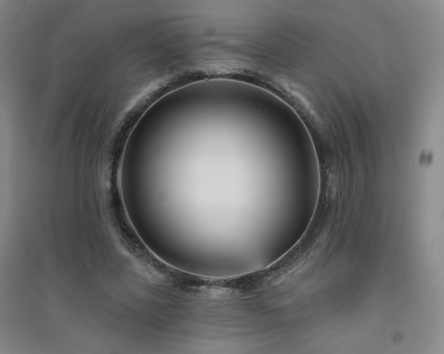 X0000094790539200711161436