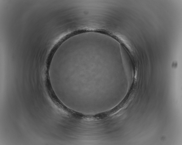 X0000094790540200711161436