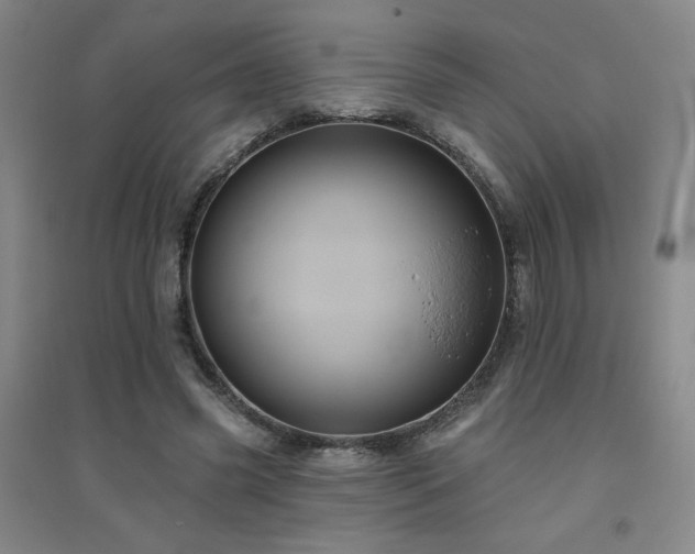 X0000094790541200711161436