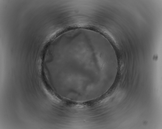 X0000094790542200711161436