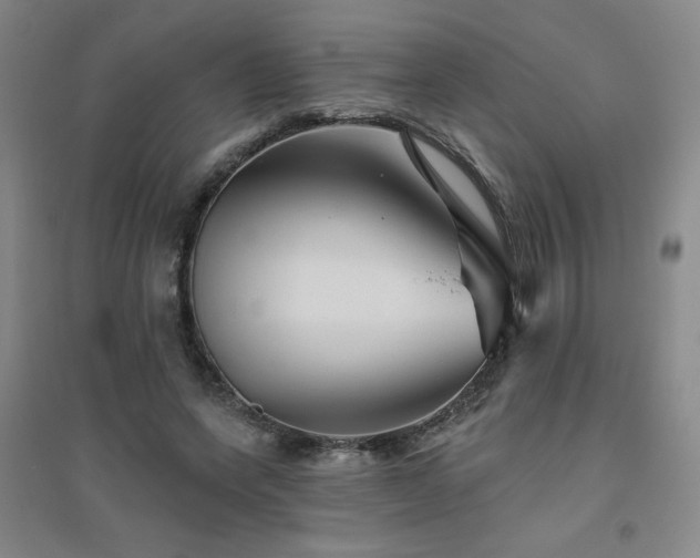 X0000094790543200711161436