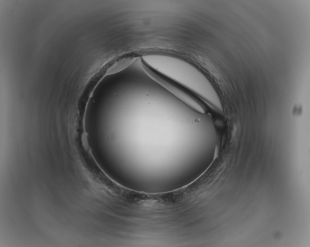 X0000094790544200711161436