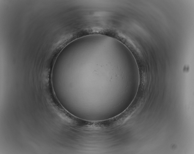 X0000094790545200711161436