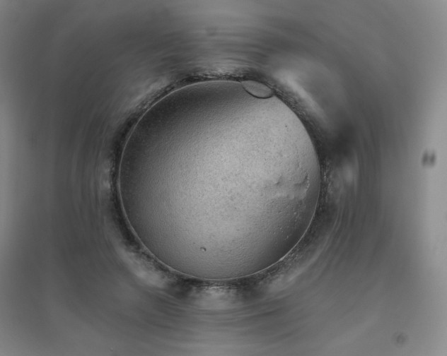 X0000094790546200711161436